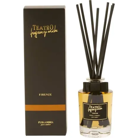 Αρωματικό χώρου με sticks Teatro Fragranze Uniche Pure Amber 250ml